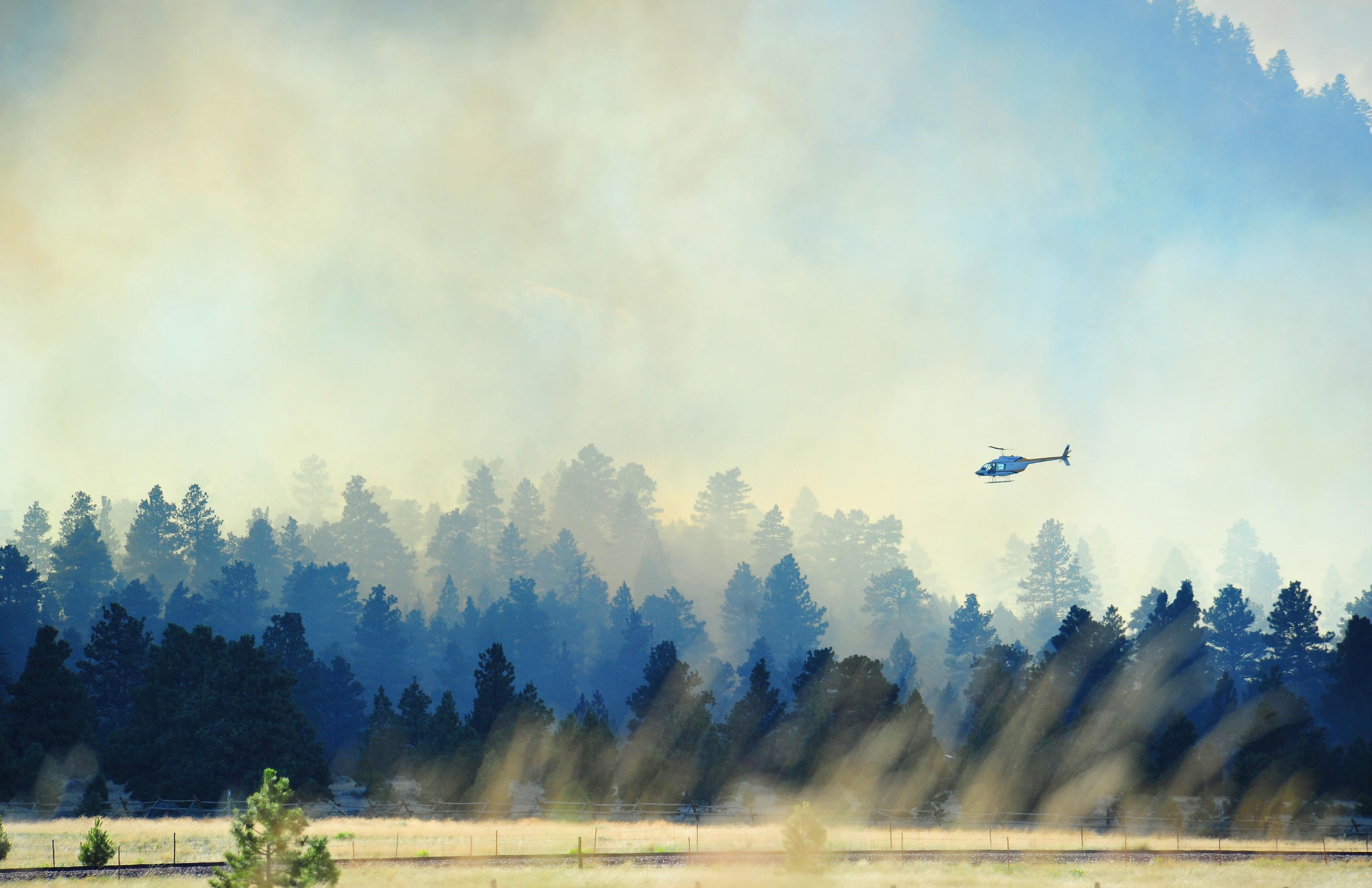 Editorial photograph by Eliza Wiley