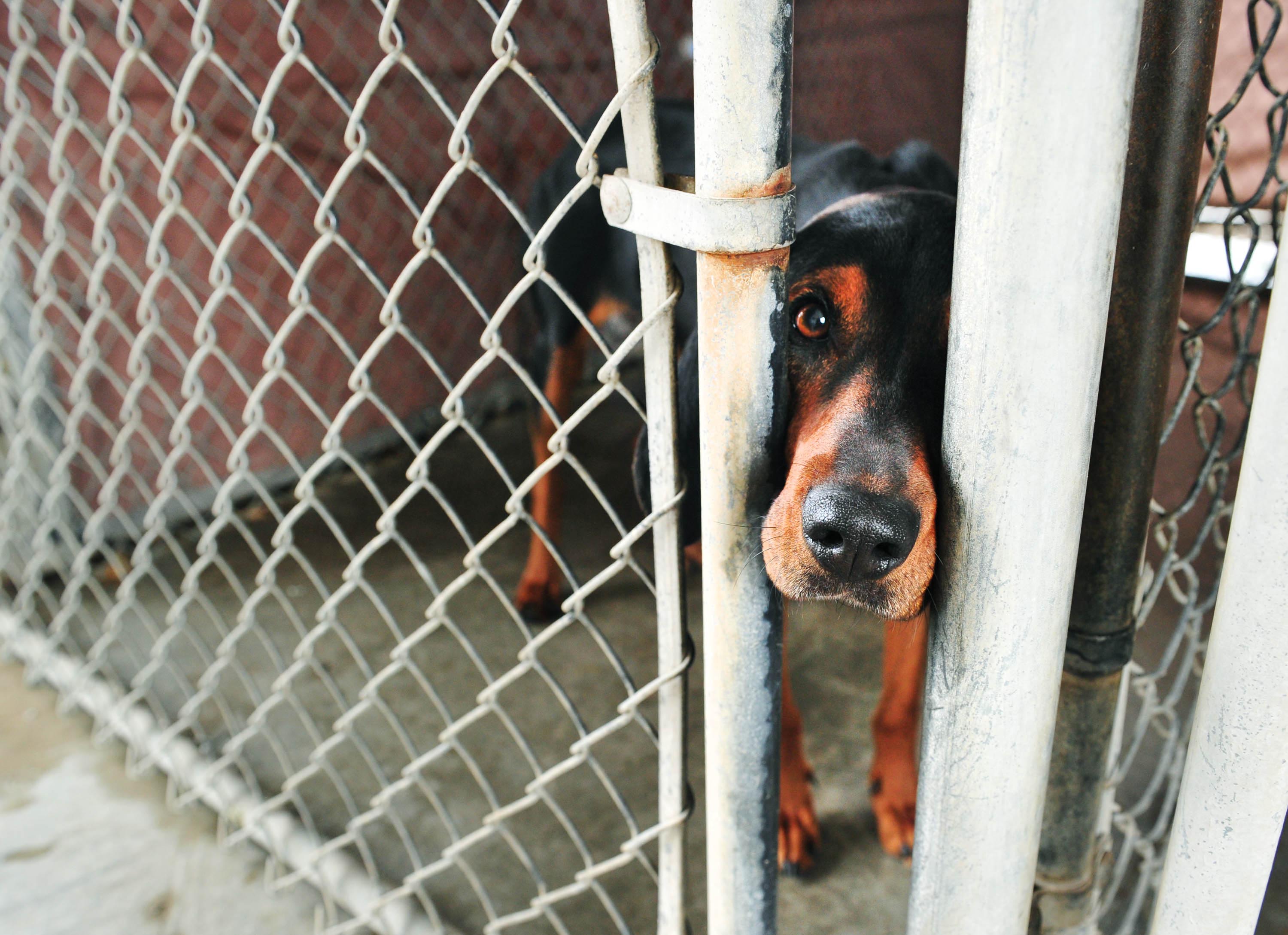 Editorial photograph by Eliza Wiley