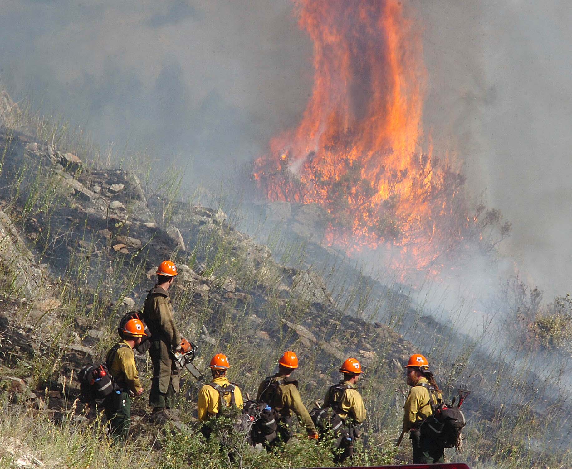 Editorial photograph by Eliza Wiley