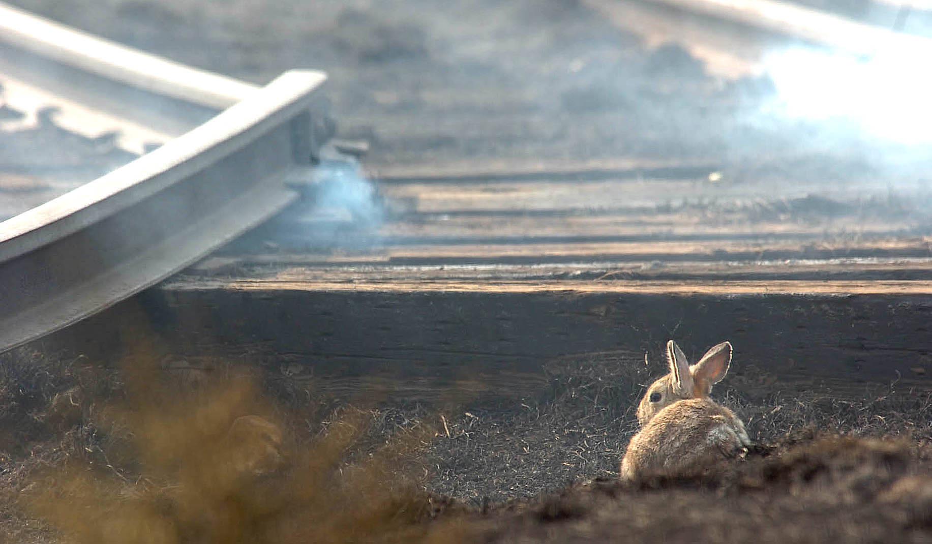 Editorial photograph by Eliza Wiley