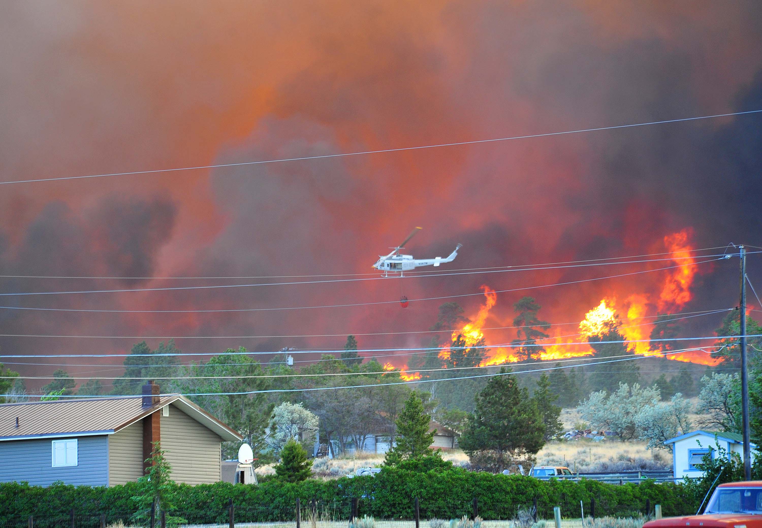 Editorial photograph by Eliza Wiley