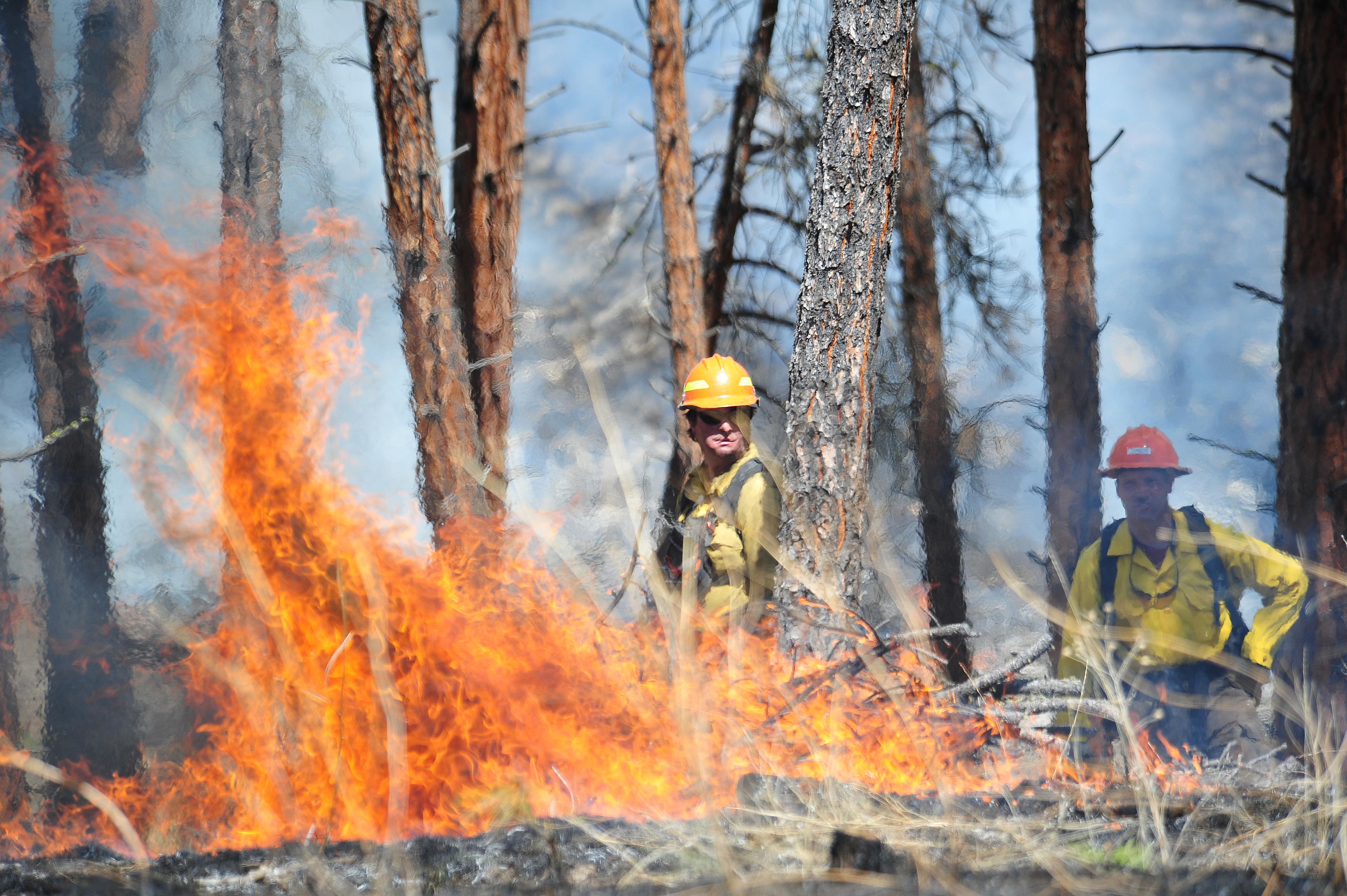 Editorial photograph by Eliza Wiley