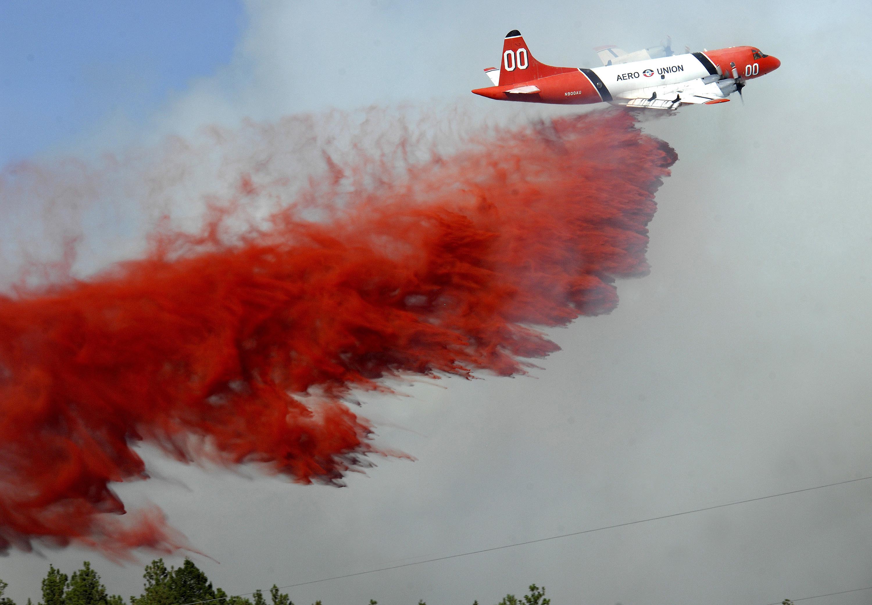 Editorial photograph by Eliza Wiley