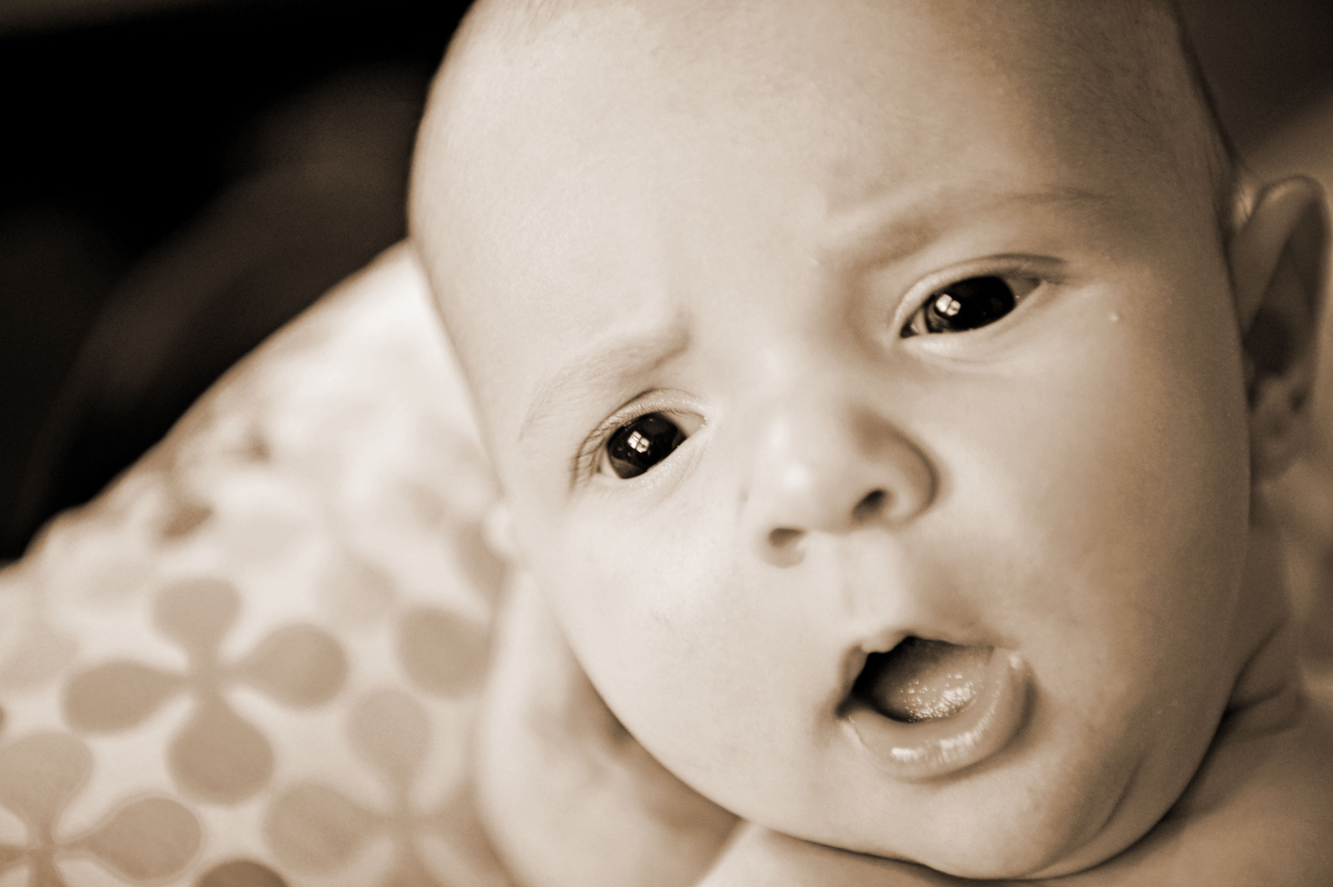 Family photograph by Eliza Wiley