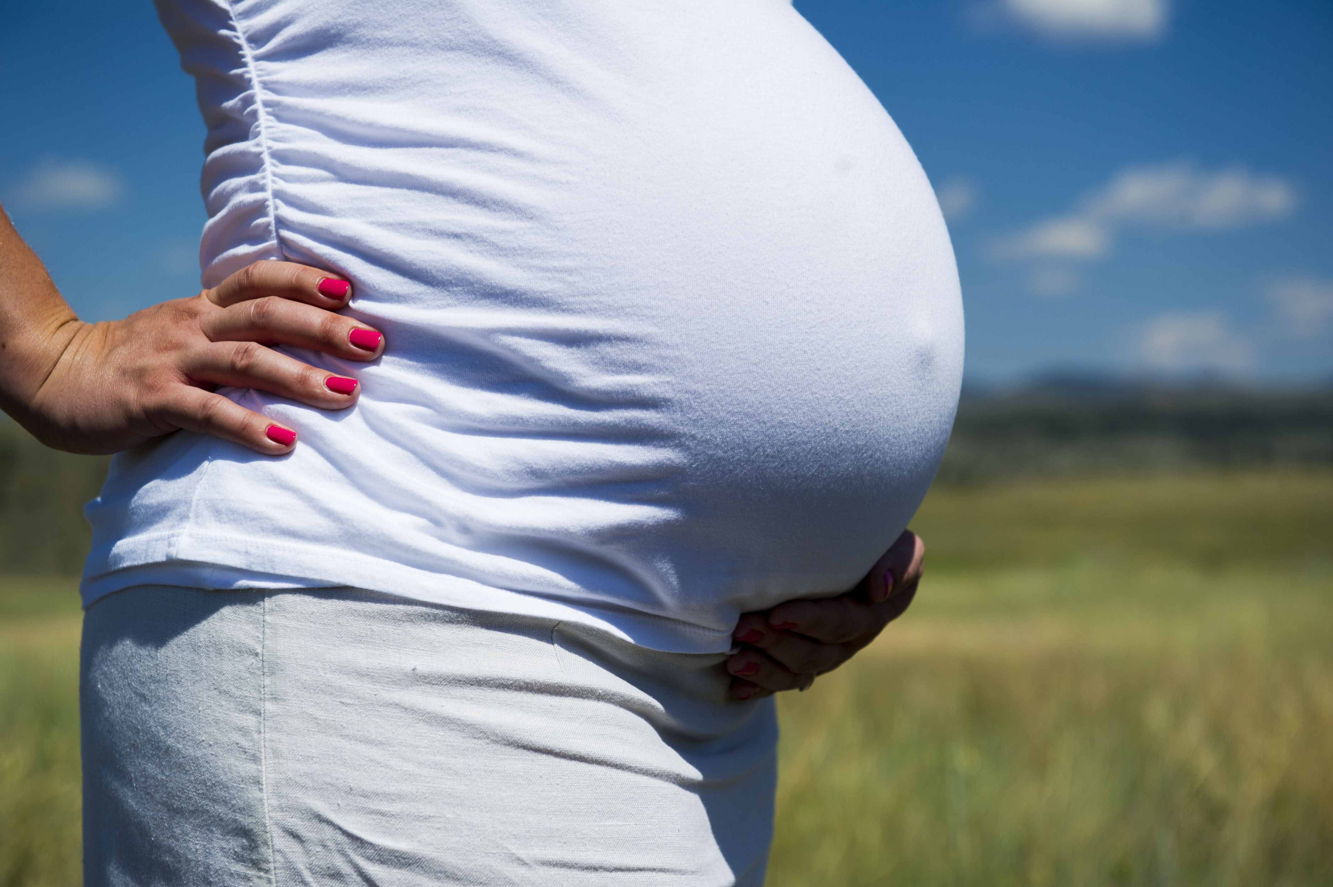 Family photograph by Eliza Wiley