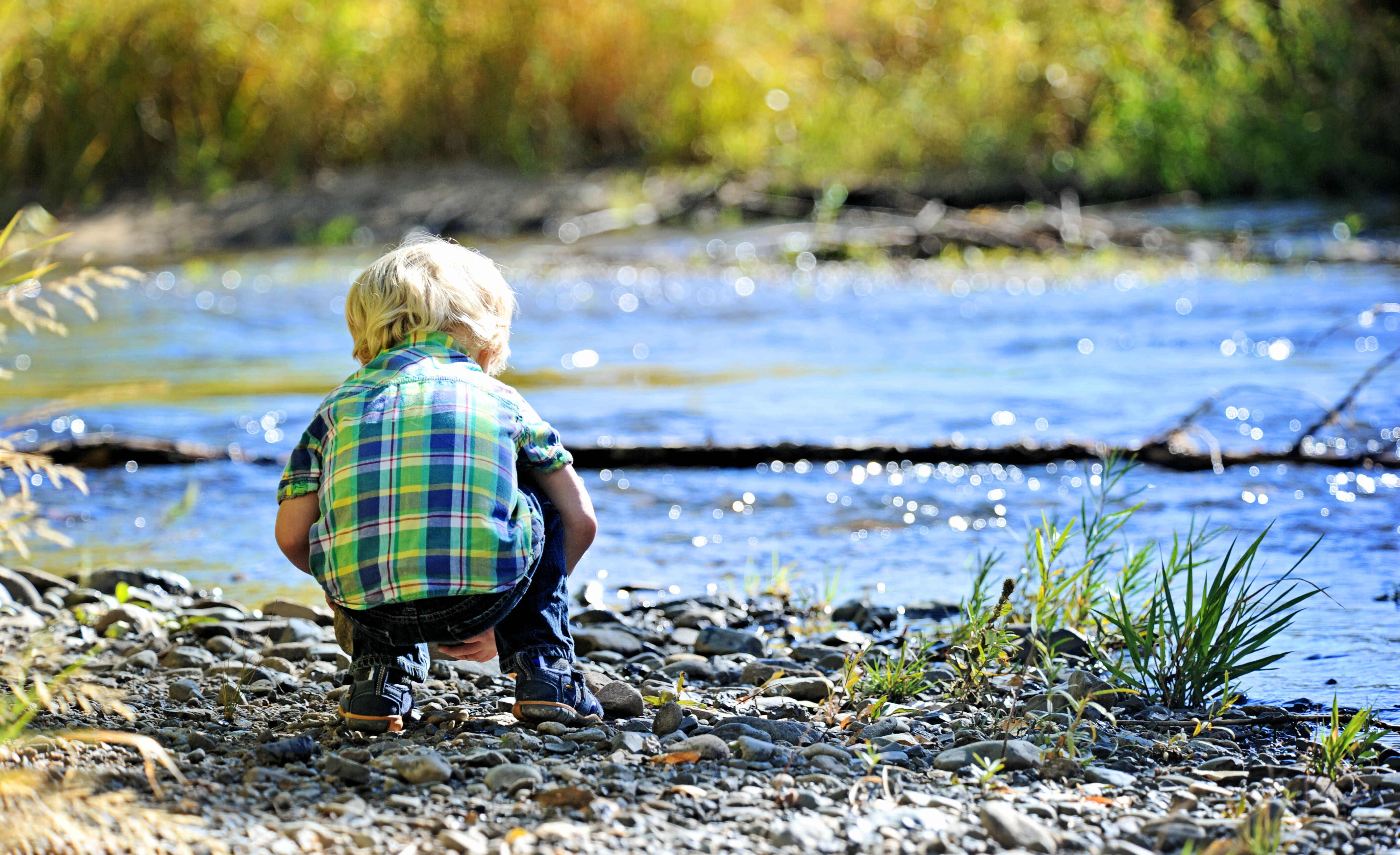 Family photograph by Eliza Wiley