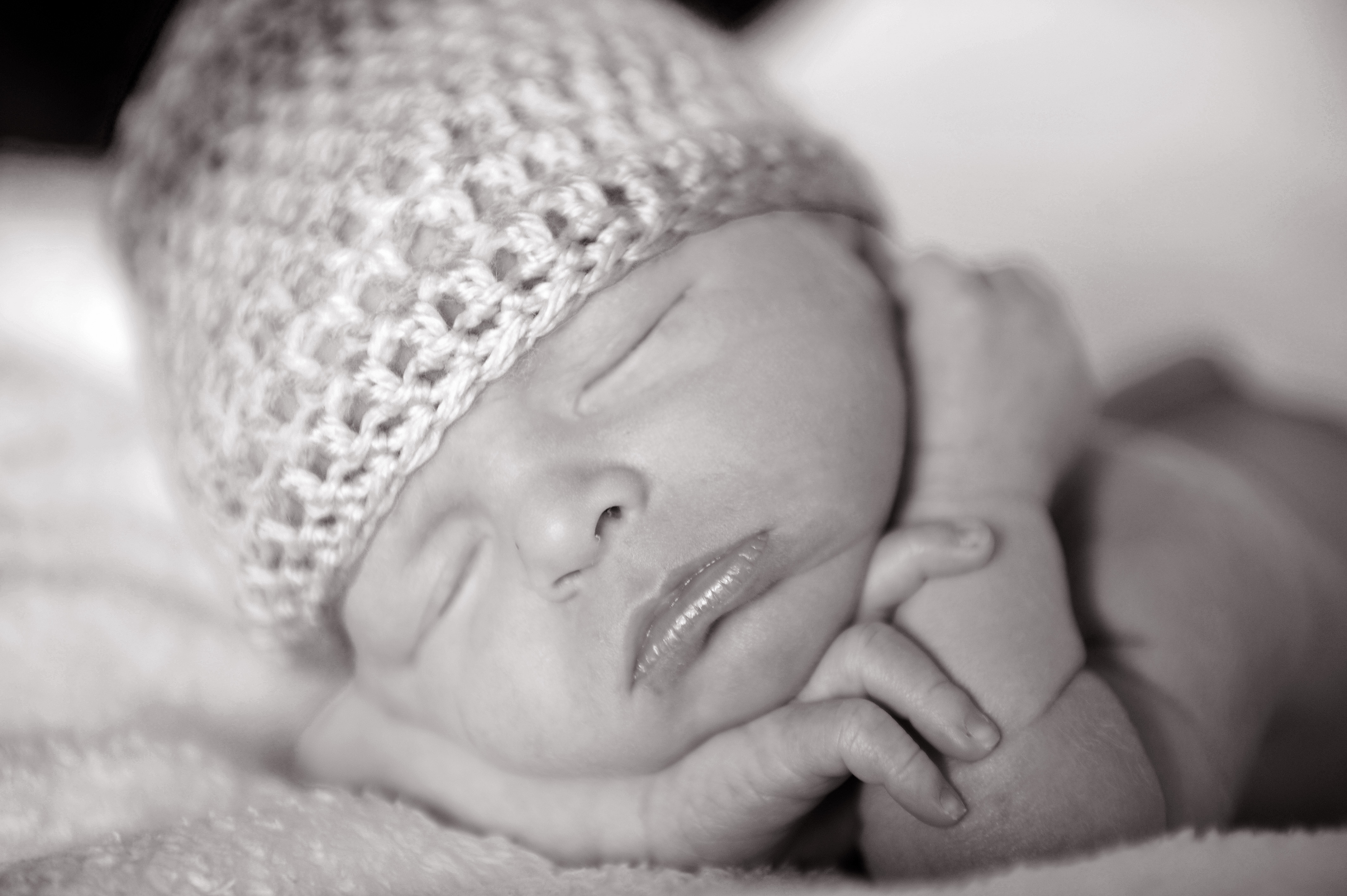 Family photograph by Eliza Wiley