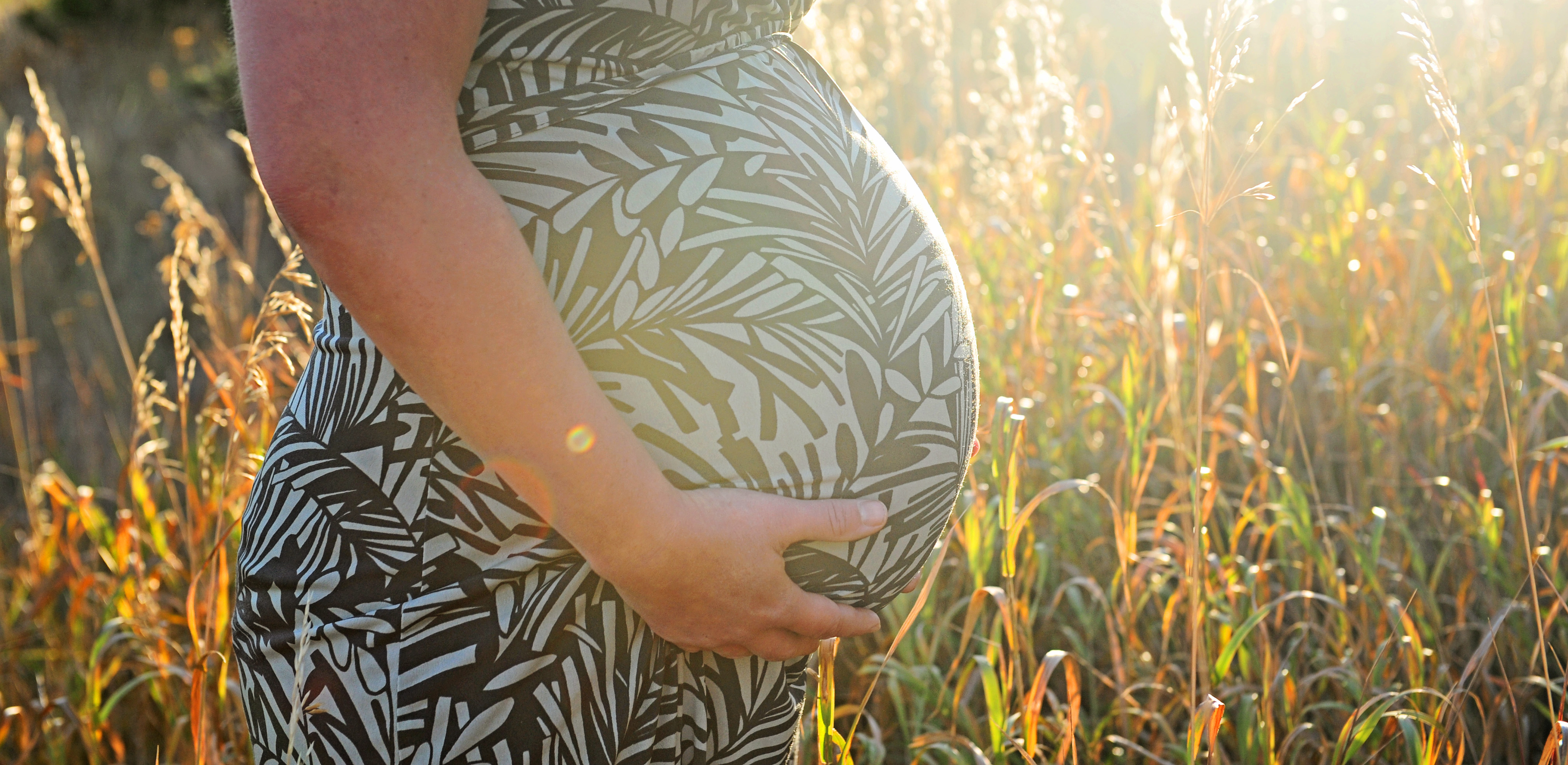 Family photograph by Eliza Wiley