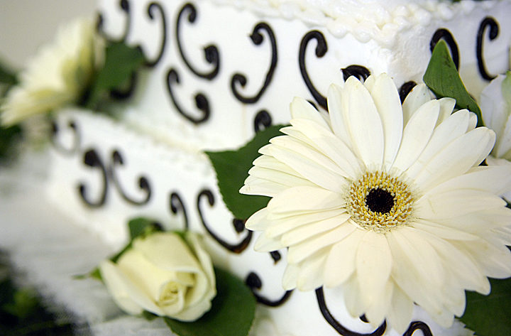 Food photograph by Eliza Wiley