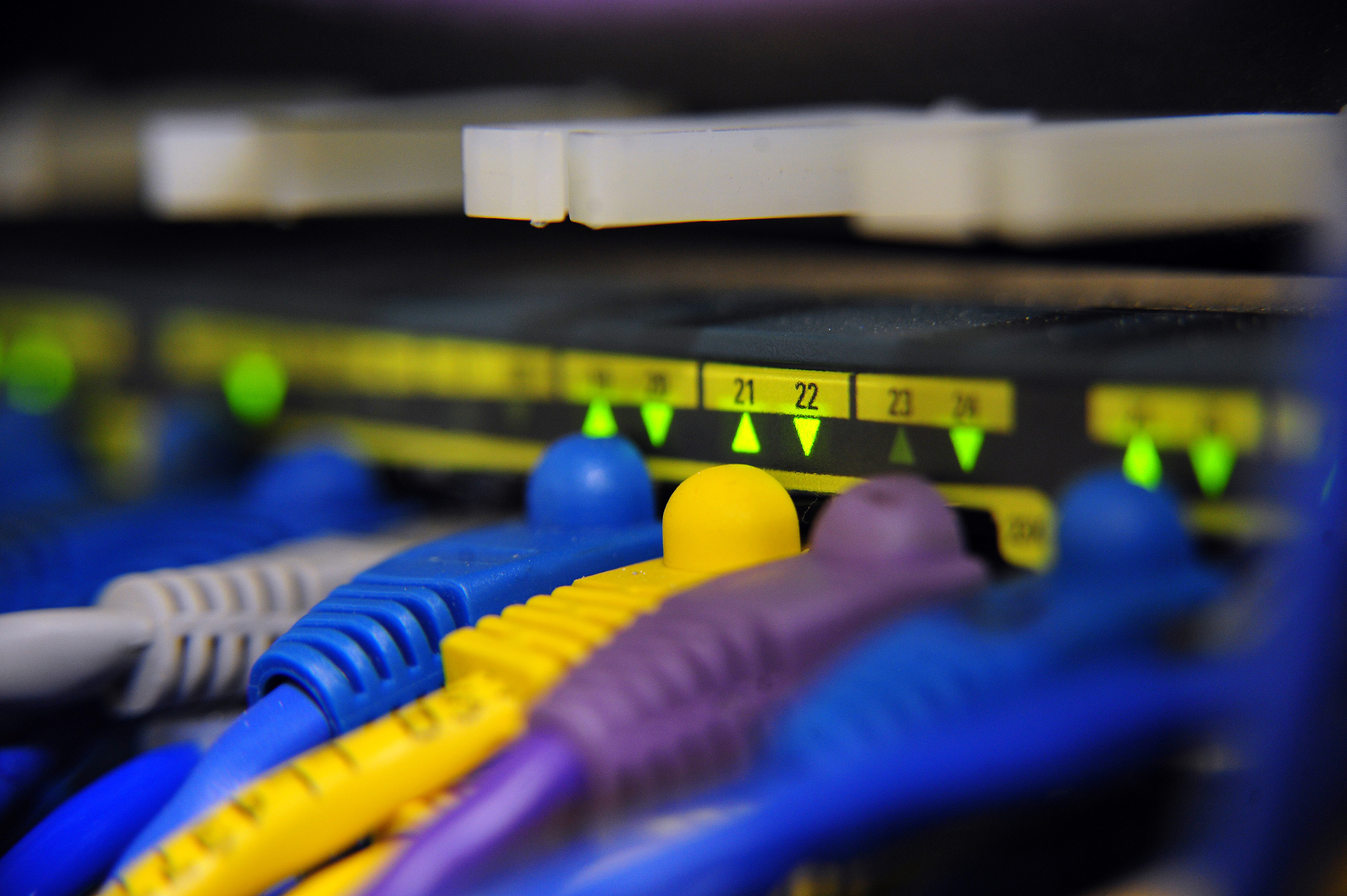 Product photograph by Eliza Wiley