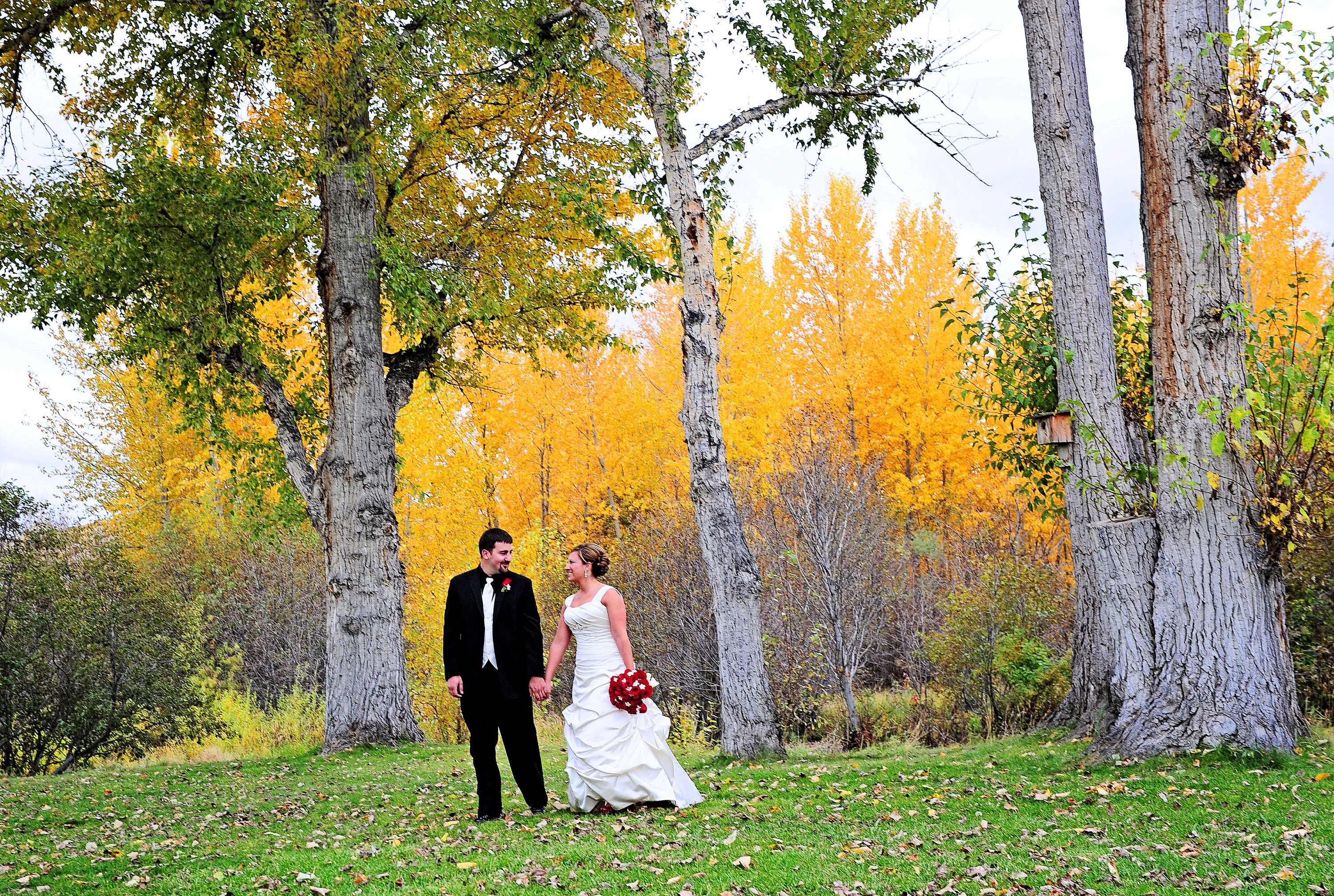 Wedding photograph by Eliza Wiley