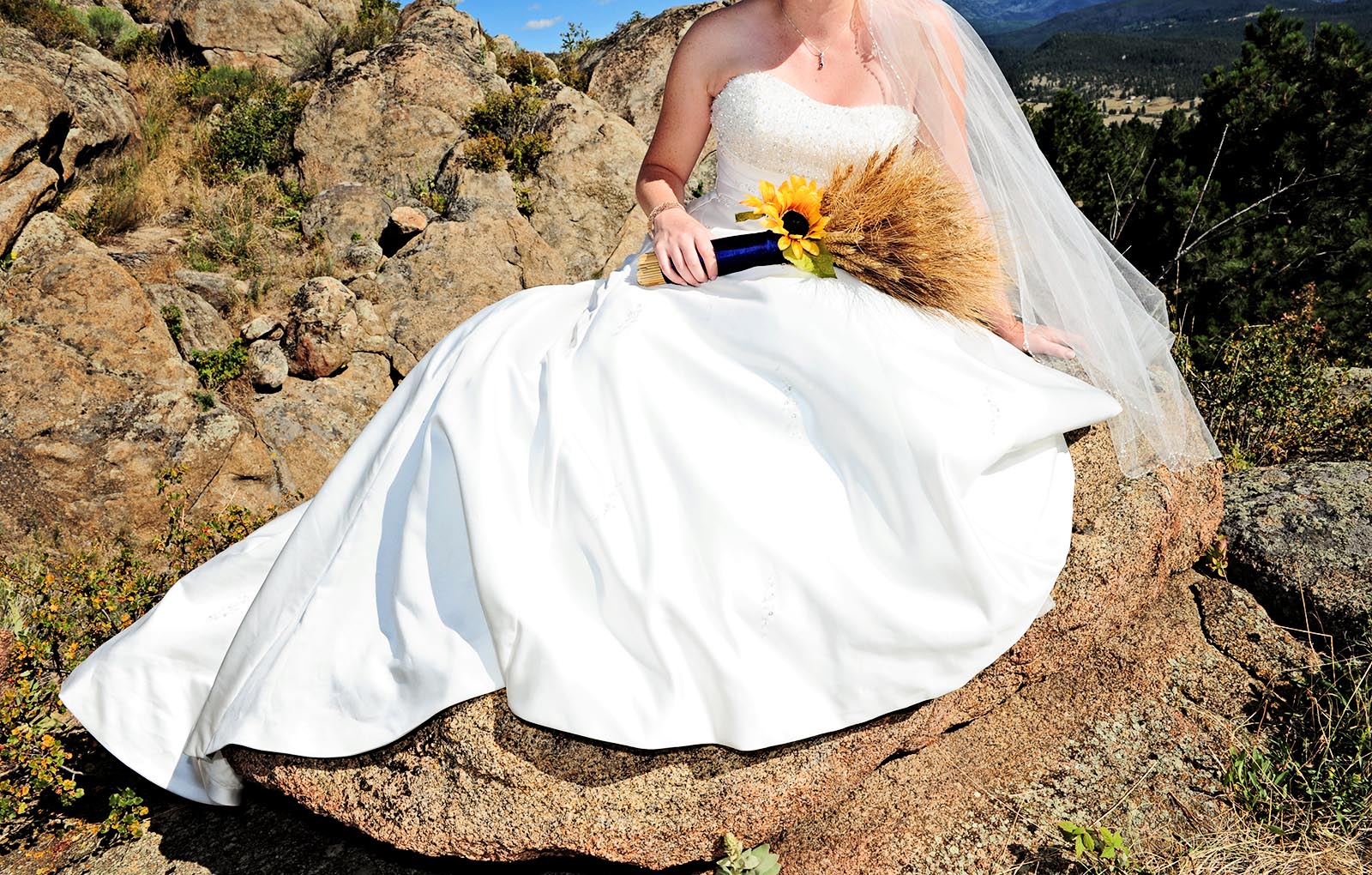 Wedding photograph by Eliza Wiley